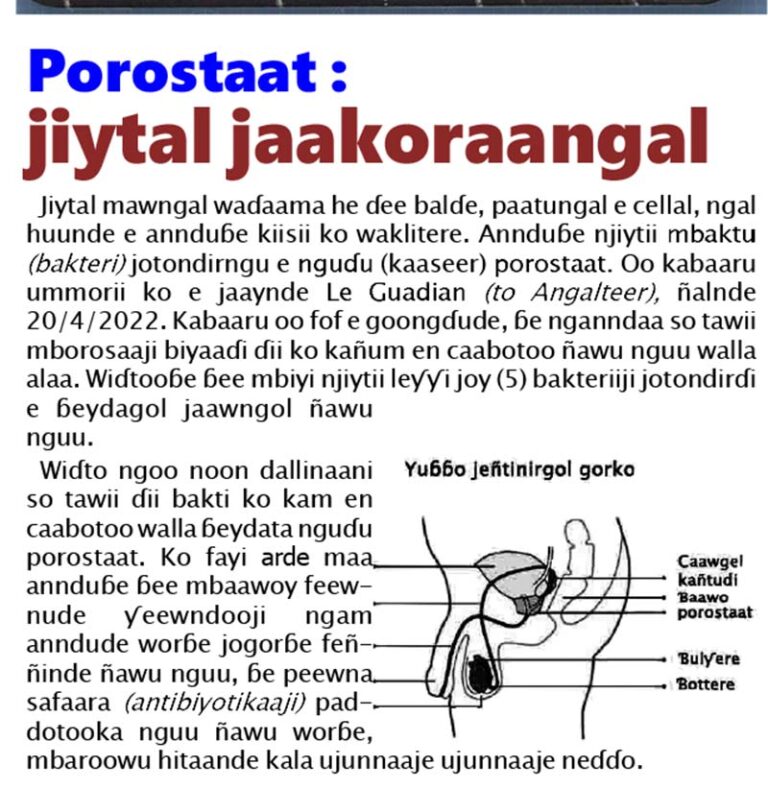 Jiytal mawngal waɗaama he ɗee balɗe, paatungal e cellal