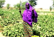 Kisal nguura : rewɓe remooɓe sewo-sewo
