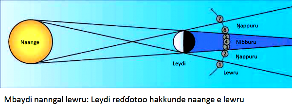 3292569326_1_5_bc94Sz7H