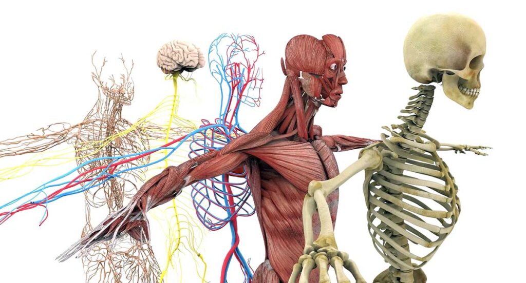 Guurɗiwal - Cilowal