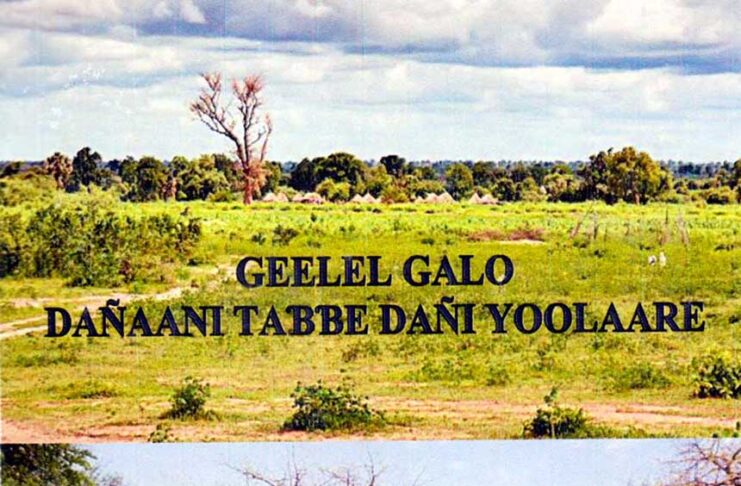 Defte : Dañaani taɓɓe, dañi yoolaare