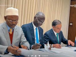 Nanondiral GIE-DYNN e African Agriculture Inc :Jokkondiral e mawɗo GIE-DYNN