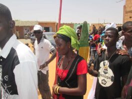 Koolol keewal pine 2016