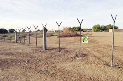 Loppitgol leyɗe ndema