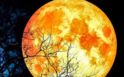 Lune-de-Sang-700x375