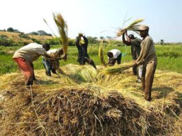 Cemmbinen ndema, mbele kaɓen e heege e baasal