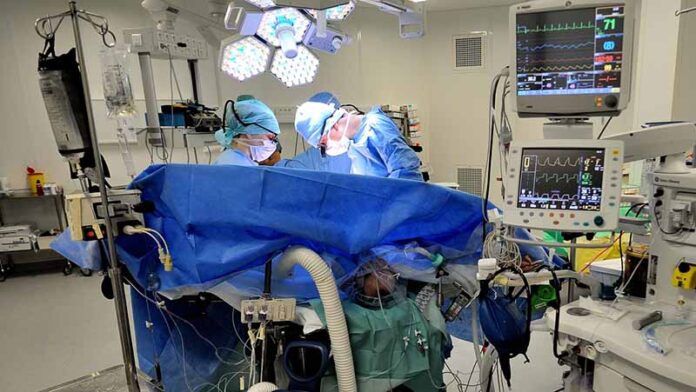 greffe de tete : Koye mbɗtii seŋeede Koye mbɗtii seŋeede