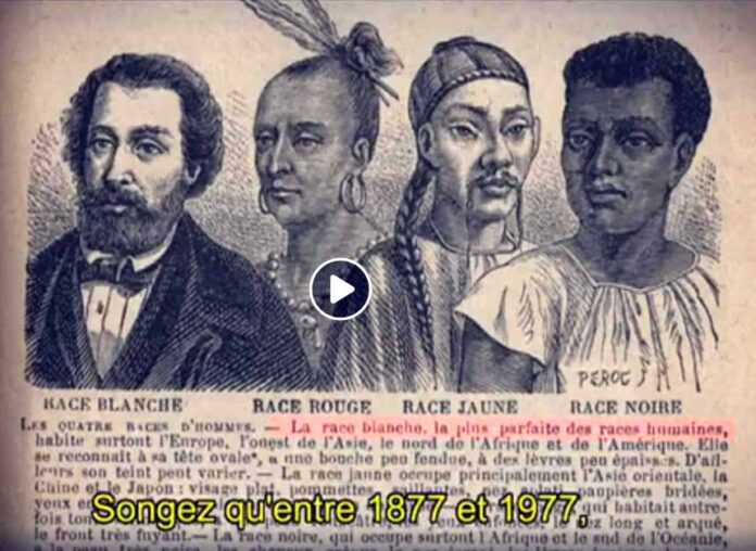 la race blanche la plus parfaites des races humaines