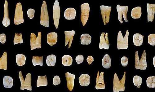 Jiytugol ñiiƴe to Siin : ko anndanoo e caragol aadee nder winndere maa ƴeeƴtee