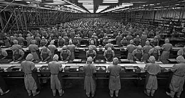 Siin : leƴƴi, faggudu, karallaagal, jokkondire (jookere)