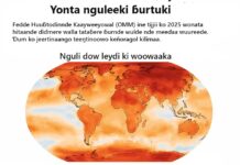 Winndere men naatanii yonta nguleeki ɓurtuki