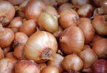 Feere ngam taƴde wasalde tawa « woyaani »