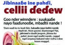 Faaɗuɓe mbaɗtii nande