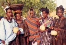 “JASPORA” FULƁE : MBAYDIIJI CEERTUƊI UUJOOJI FULƁE